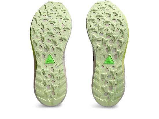 Asics Fuji Lite 5 Shoes (Women's)