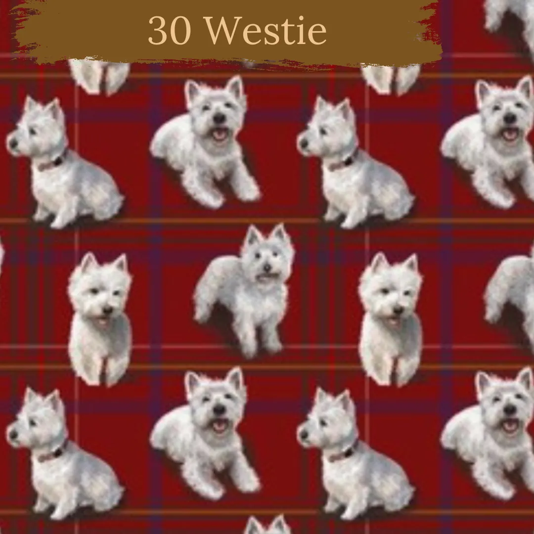 Dog Breeds cuffed shorts