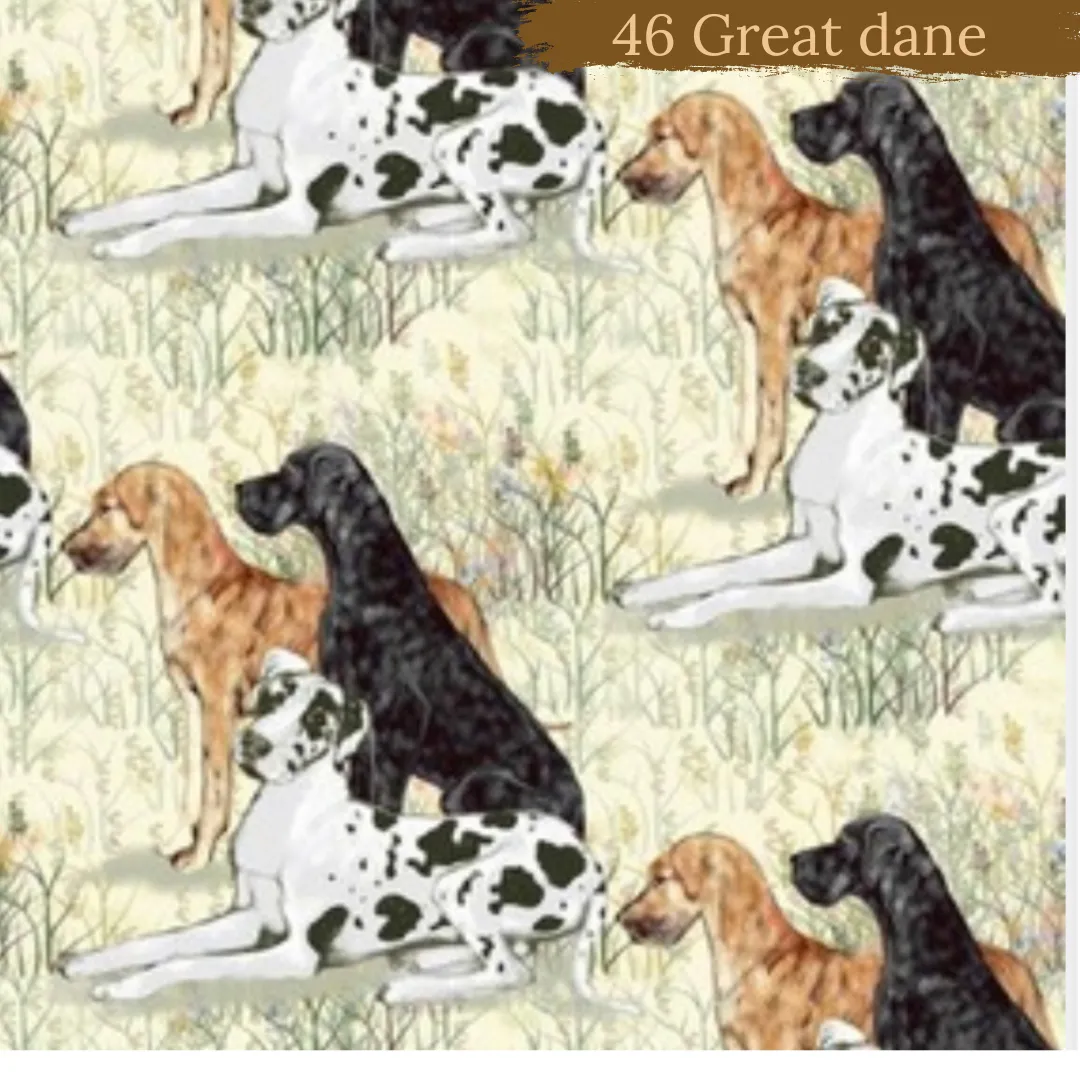 Dog Breeds cuffed shorts