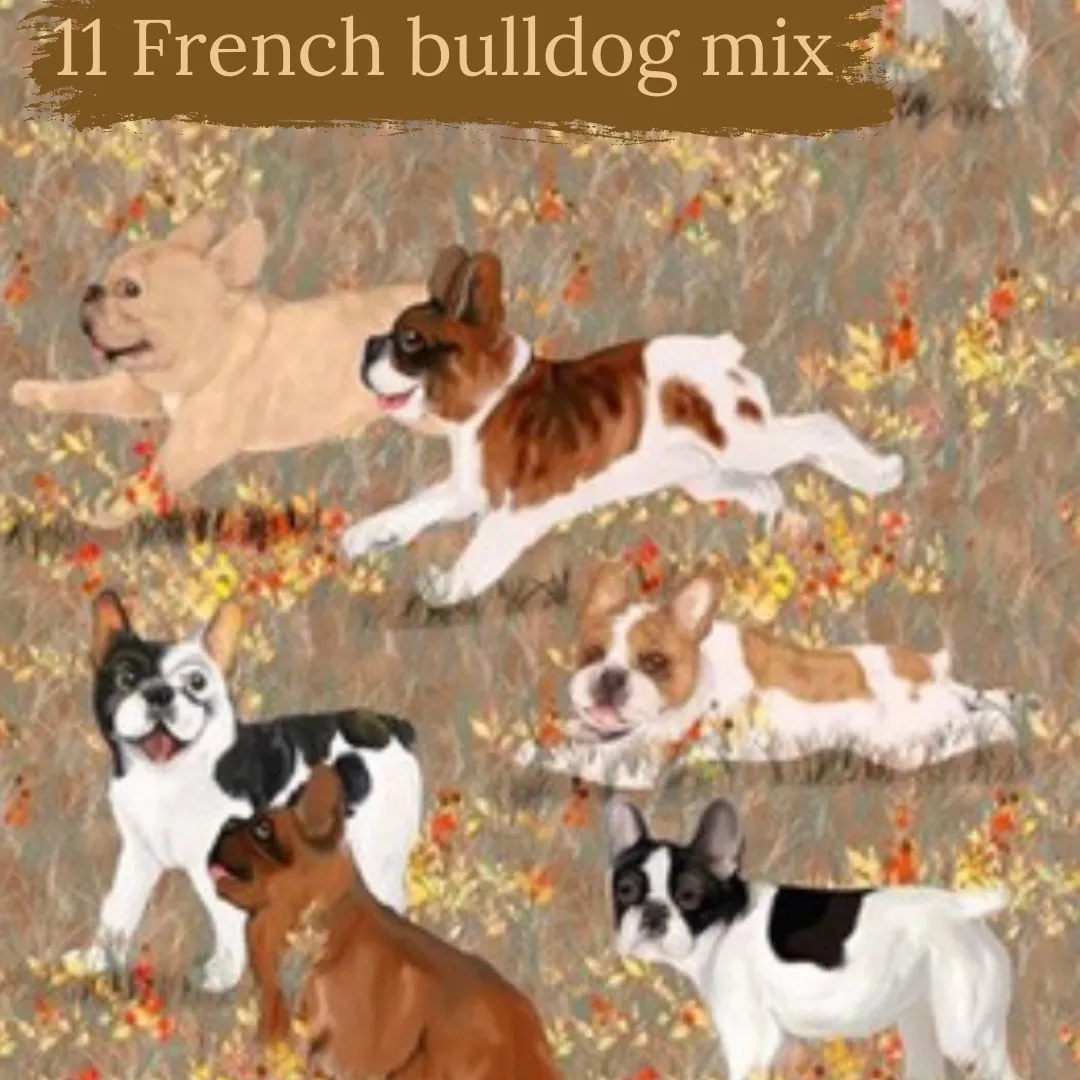 Dog Breeds cuffed shorts