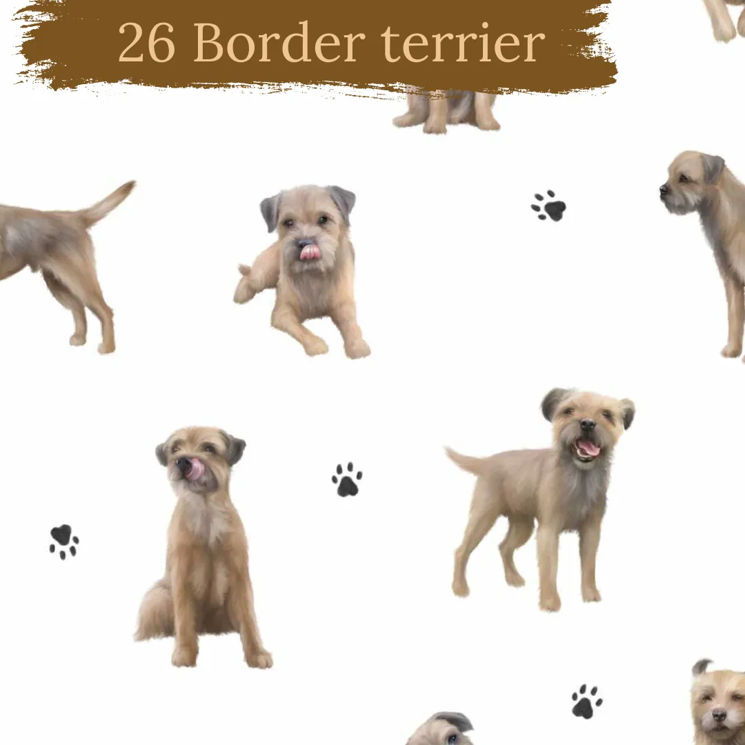 Dog Breeds cuffed shorts