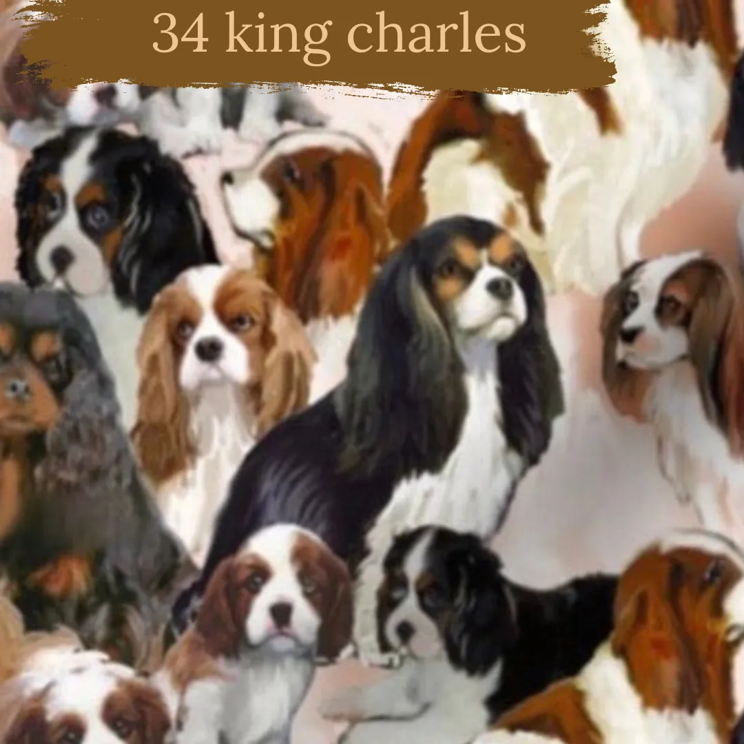 Dog Breeds cuffed shorts