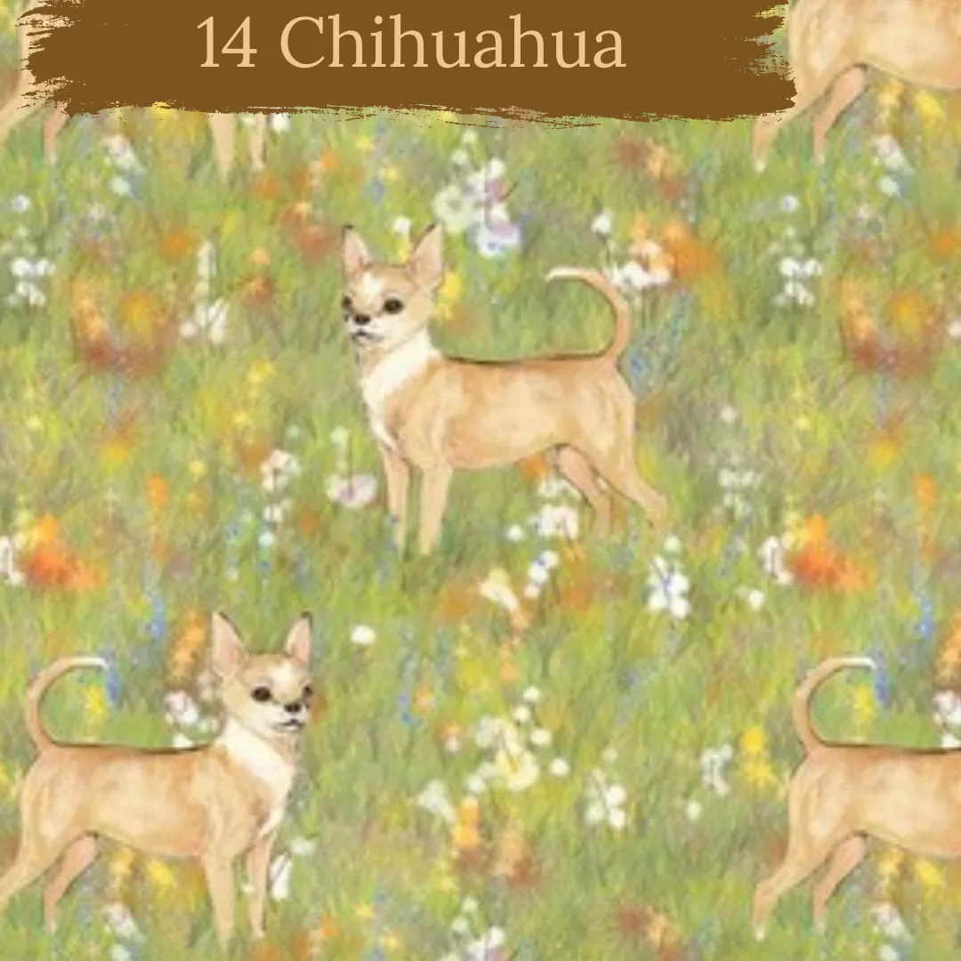 Dog Breeds cuffed shorts
