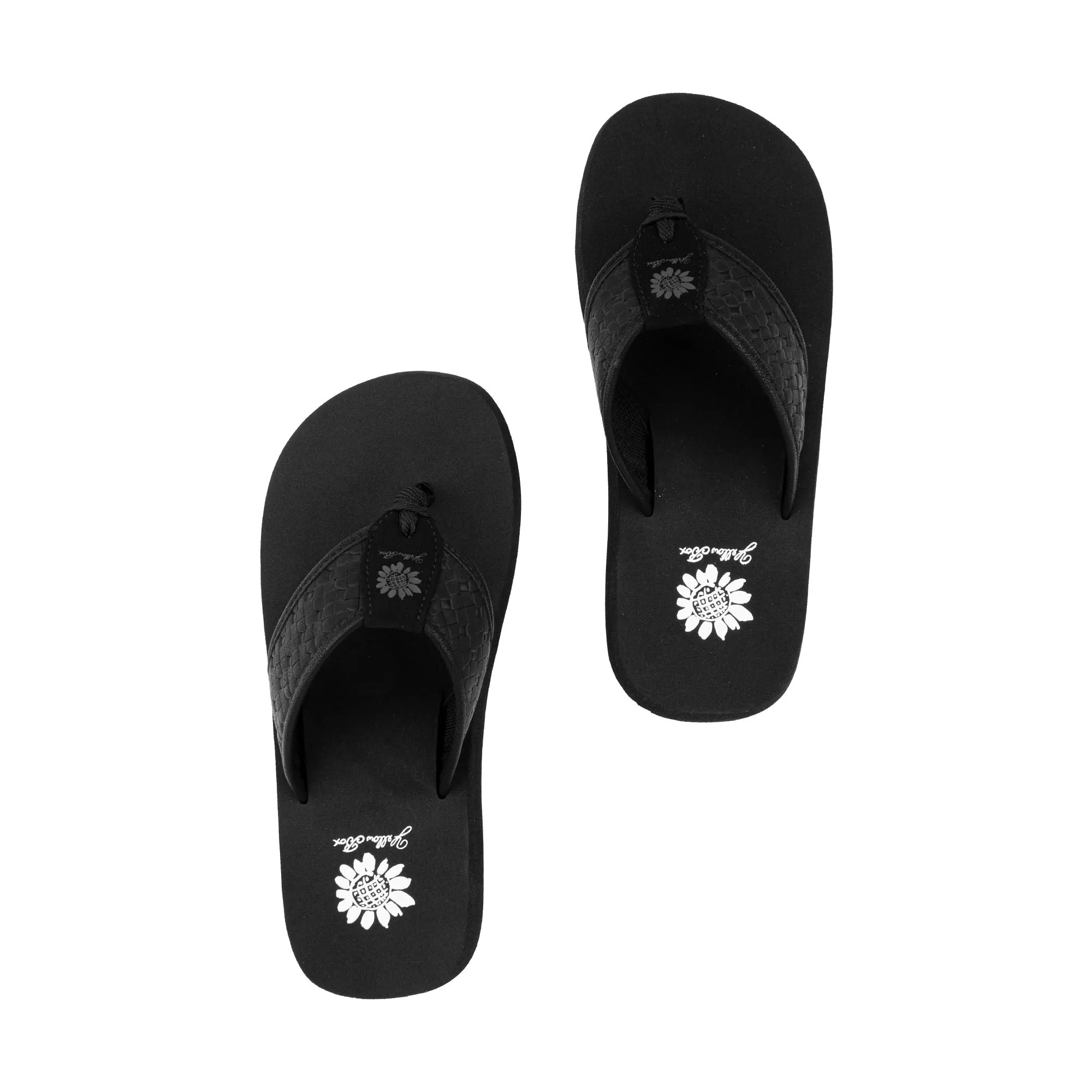 Fadden Flip Flop