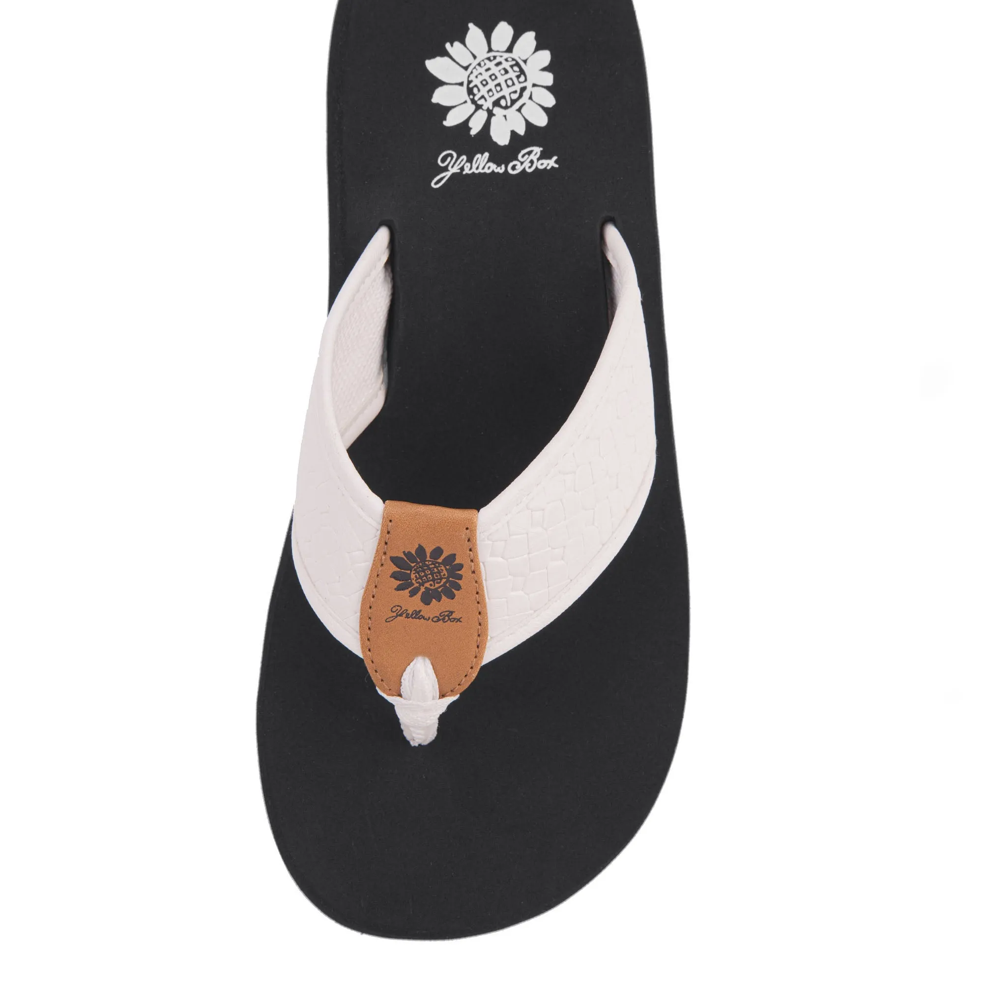 Fadden Flip Flop