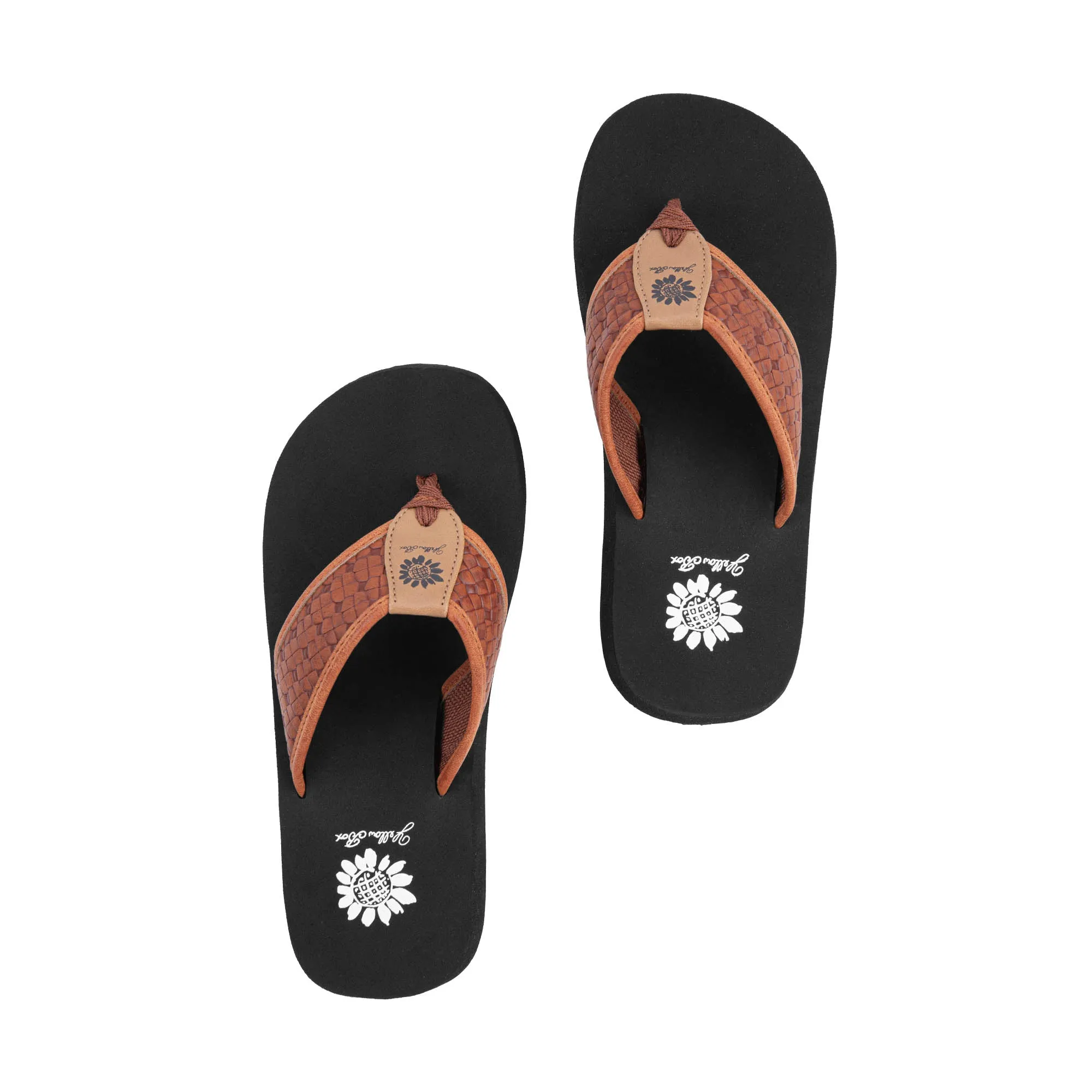 Fadden Flip Flop
