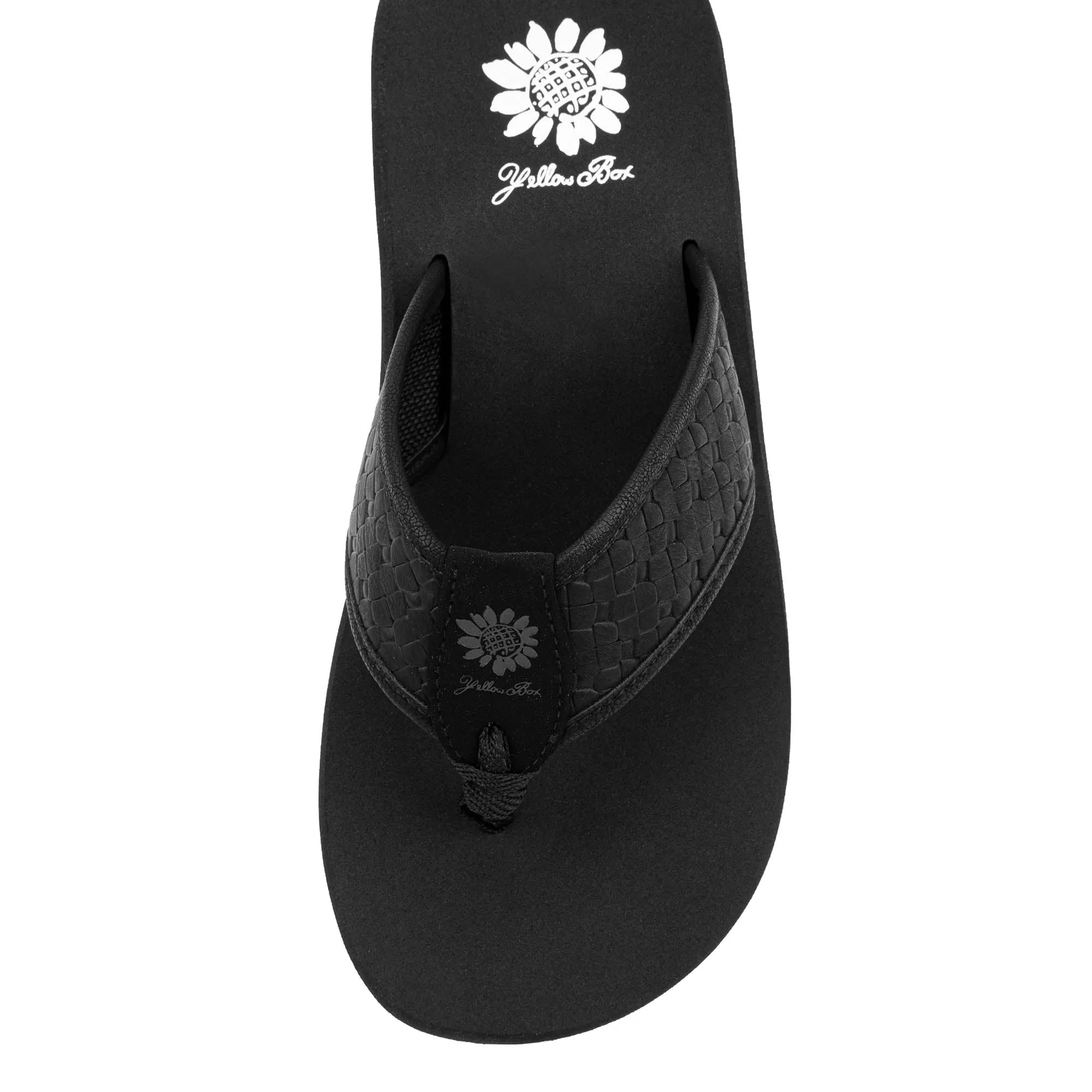 Fadden Flip Flop