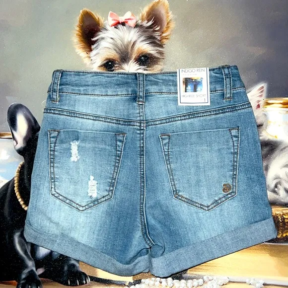 Indigo Rein 2 Shorts HighRise shorts sizes 1, or 5 with free beach bag