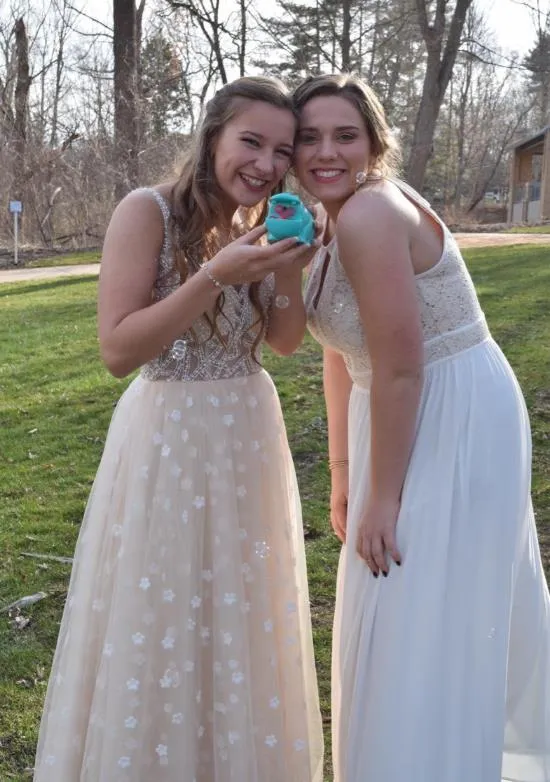 Sexy V Back Prom Tulle Prom Dresses Beading Evening Dresses