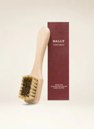 Shoe Care Brush